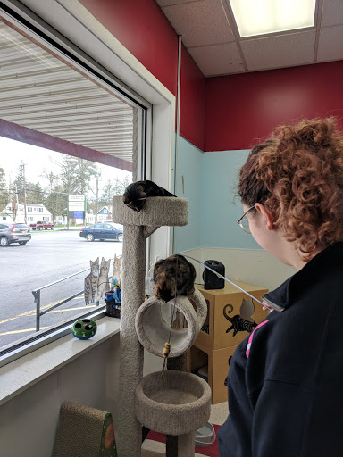 Pet Supply Store «Healthy Pet Center», reviews and photos, 237 N Greenbush Rd, Troy, NY 12180, USA
