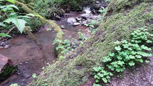 Park «MacLeay Park Entrance», reviews and photos, 2960 NW Upshur St, Portland, OR 97210, USA