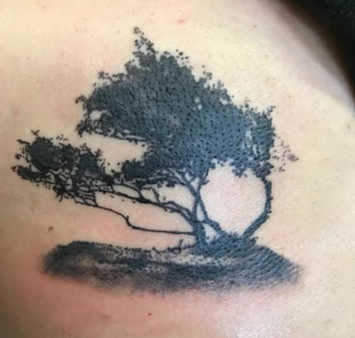 Tattoo Shop «C&L Tattoo Studio and Body Piercing», reviews and photos, 4807 Mahoning Ave, Warren, OH 44483, USA