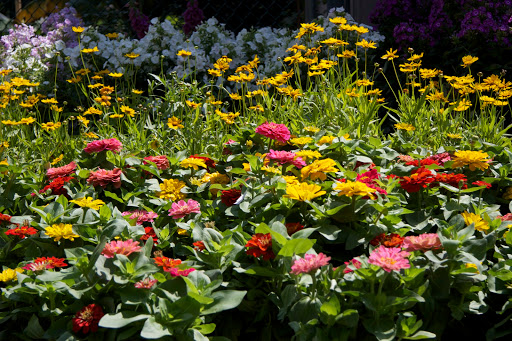 Garden Center «Copia Home and Garden», reviews and photos, 475 Smith Ridge Rd, South Salem, NY 10590, USA