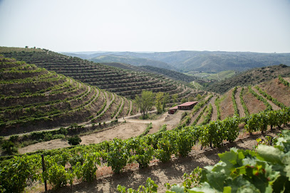 MEDIPLENO - MEDIAÇÃO IMOBILIÁRIA LDA, Mêda