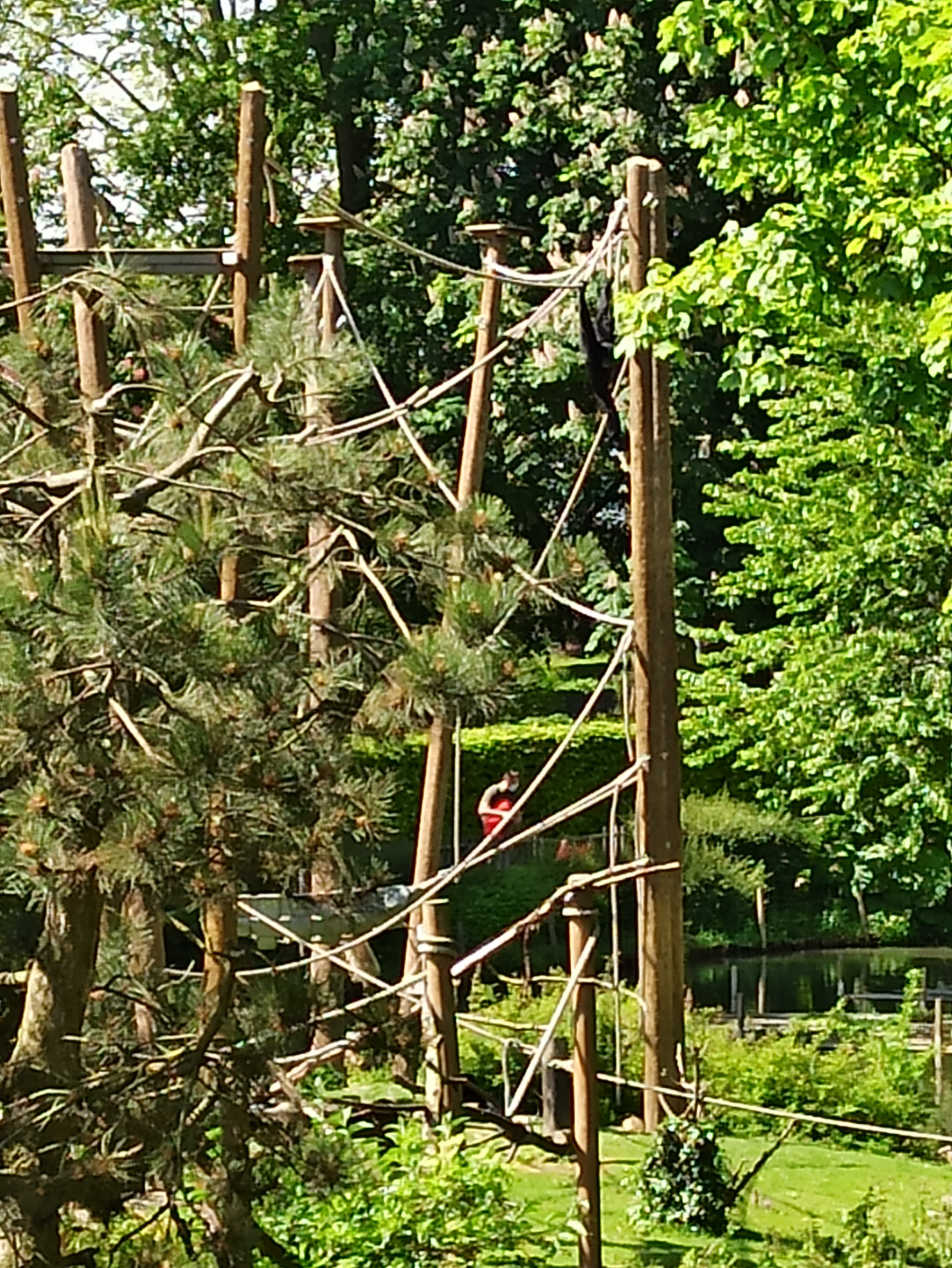 Photo n° 8 de l'avis de Johannes.o fait le 21/02/2019 à 14:04