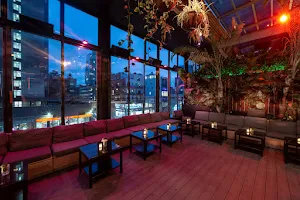 The DL | Best Rooftop Lounge NYC image