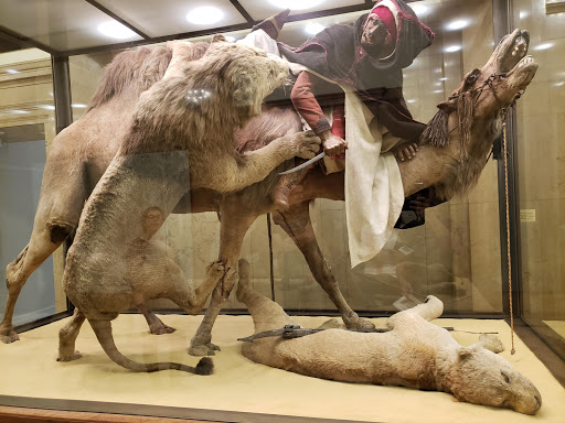 Art Museum «Carnegie Museum of Art», reviews and photos, 4400 Forbes Ave, Pittsburgh, PA 15213, USA