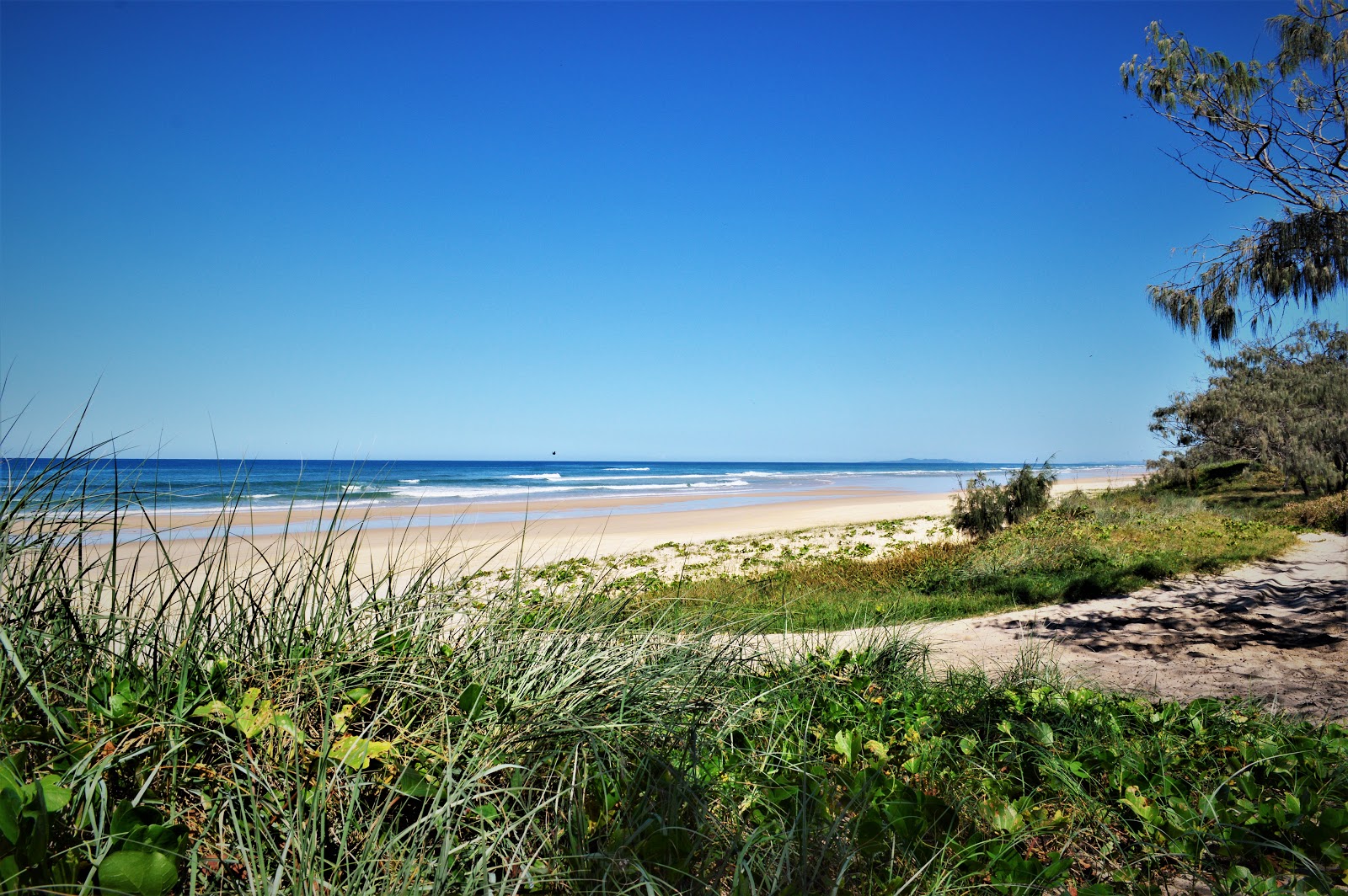 Cooloola Beach的照片 带有长直海岸