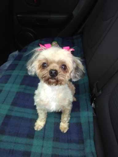 Pet Supply Store «PetSmart», reviews and photos, 8852 Washington Blvd, Pico Rivera, CA 90660, USA