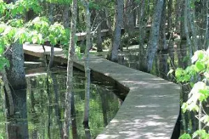 Pee Dee National Wildlife Refuge image