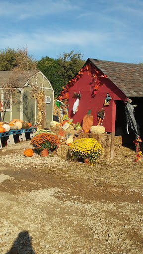 Landscaper «Landscape Source», reviews and photos, 167 Ole W Ln, Rockwall, TX 75087, USA