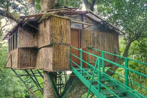 Tipperary Treehouse image