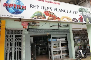 Reptiles Planet & Pet Studio image
