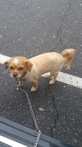 Pet Supply Store «Petco Animal Supplies», reviews and photos, 141 Tuckahoe Rd #130, Sewell, NJ 08080, USA