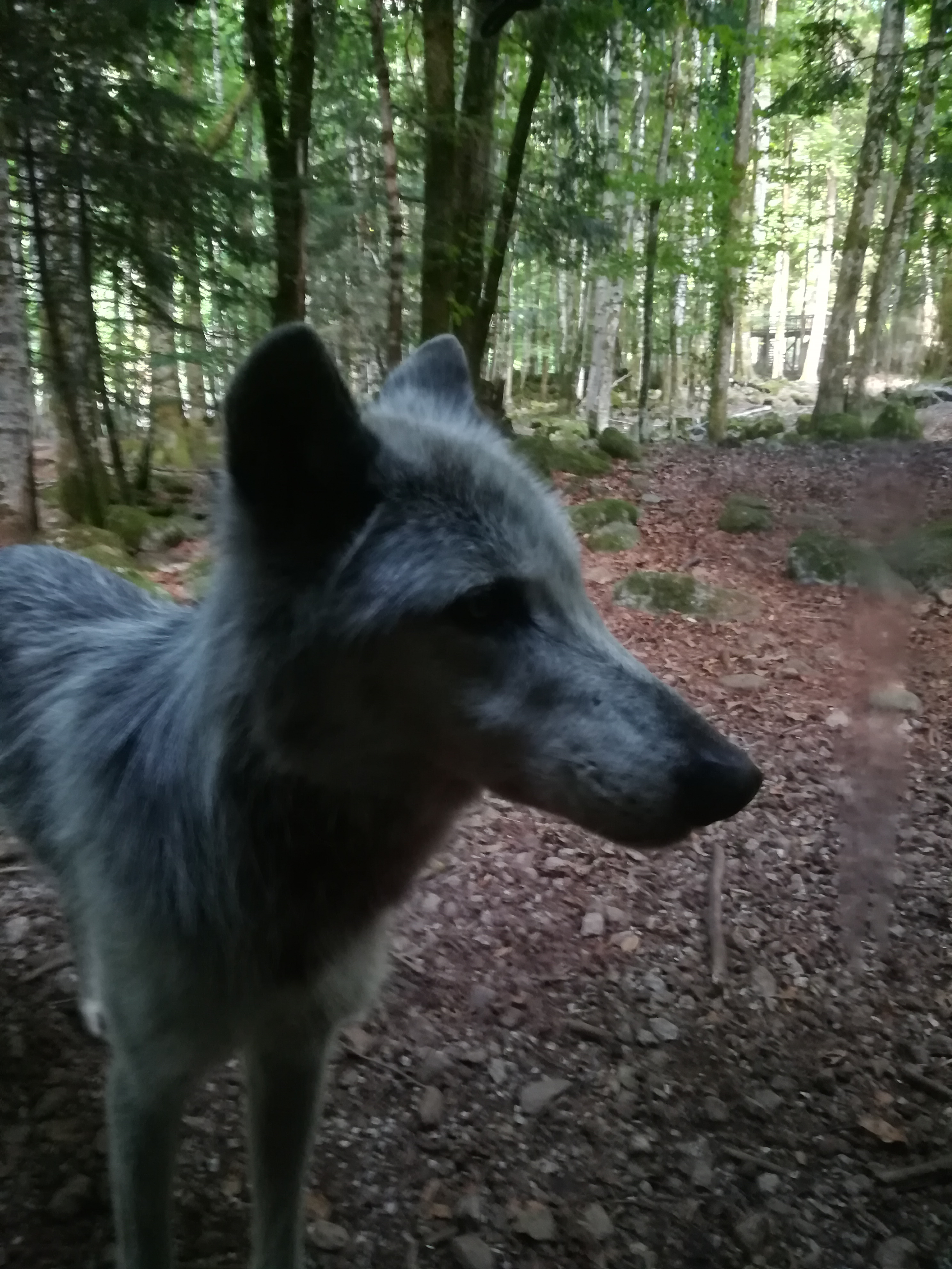 Photo n° 6 de l'avis de Audrey.� fait le 28/07/2017 à 17:11