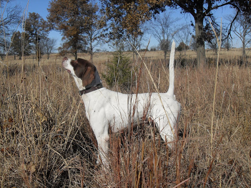 Arbuckle Veterinary Clinic image