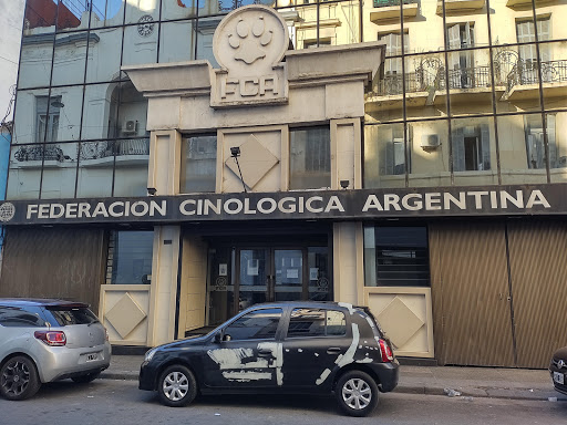 Criaderos de border collie en Buenos Aires