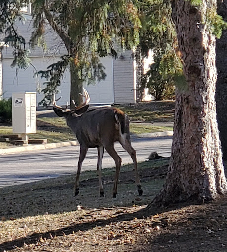 Insurance Agency «Robert Overby - State Farm Insurance», reviews and photos