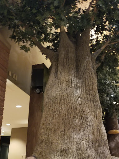 Resort «Great Wolf Lodge Colorado Springs», reviews and photos, 9494 Federal Drive, Colorado Springs, CO 80921, USA