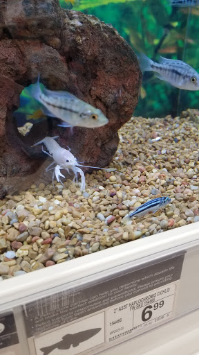 Pet Supply Store «Petco Animal Supplies», reviews and photos, 3424 W Shore Dr, Holland, MI 49424, USA