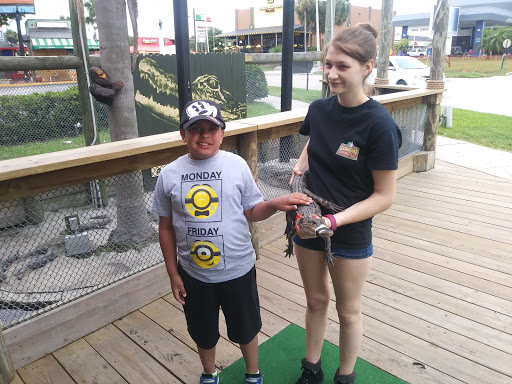 Tattoo Shop «Scratch The Surface Tattoo», reviews and photos, 6550 International Dr #111, Orlando, FL 32819, USA