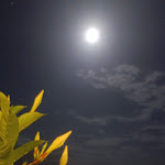 Photo n°1 de l'avis de Stefano.p fait le 30/08/2023 à 13:14 sur le  Hotel villa Pandora à Maiori