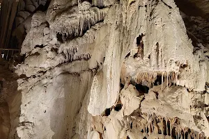 Mitchell Caverns image