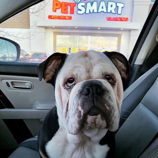 Pet Store «PetSmart», reviews and photos, 10451 Baltimore St NE, Blaine, MN 55449, USA