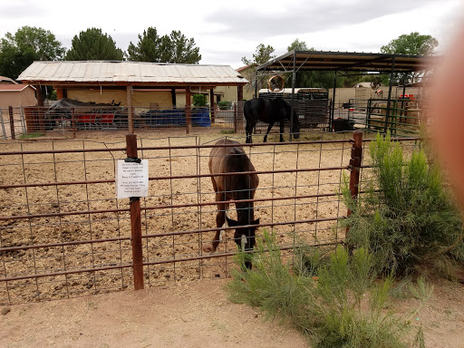 National Reserve «Riparian Preserve at Water Ranch», reviews and photos, 2757 E Guadalupe Rd, Gilbert, AZ 85234, USA