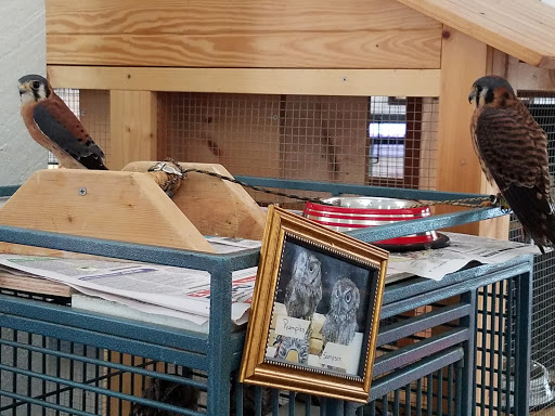 Park «George C. McGough Nature Park - The Narrows», reviews and photos, 11901 146th St N, Largo, FL 33774, USA