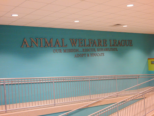 Animal Welfare League of Trumbull County image 9