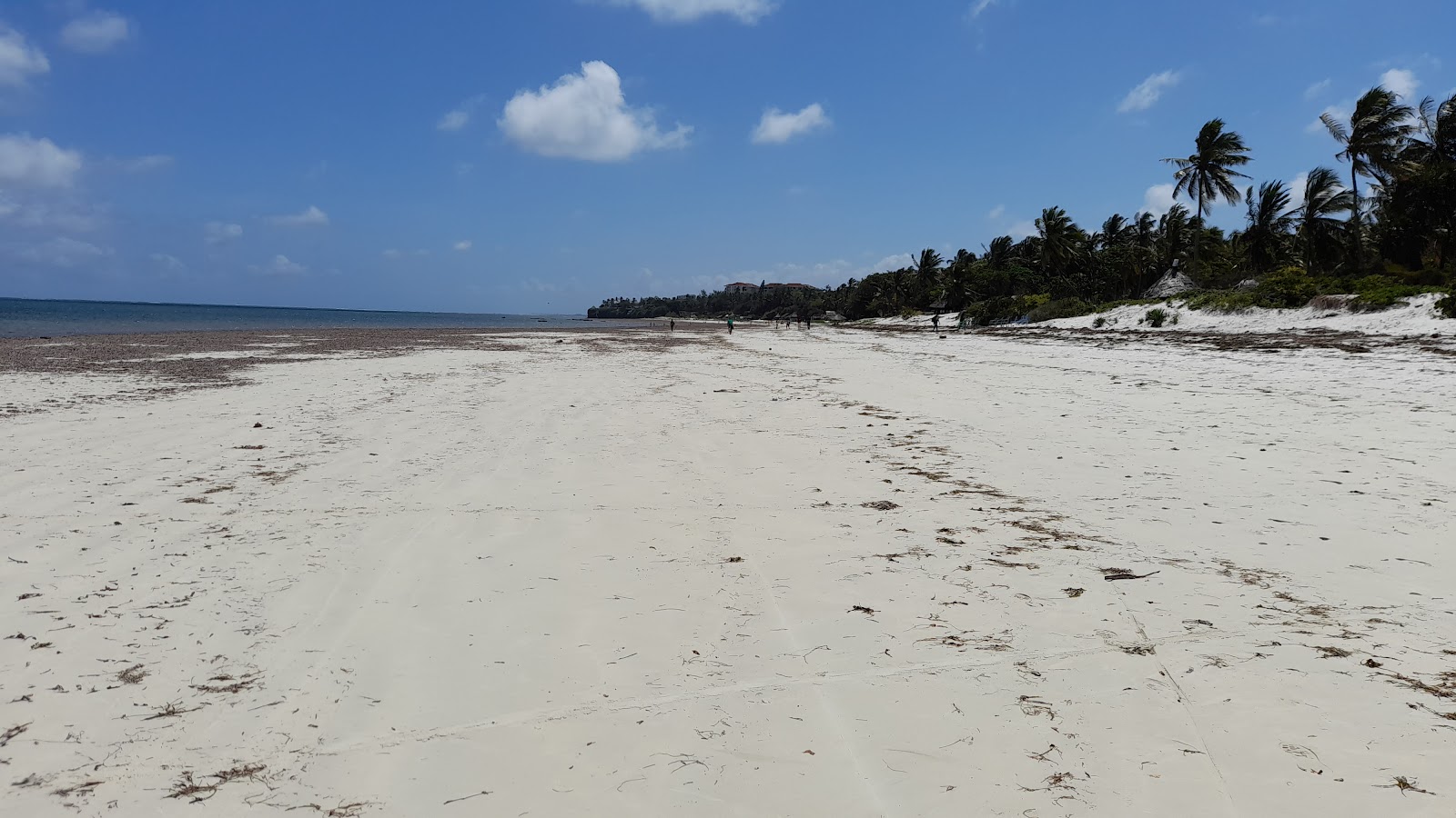Nyali Beach'in fotoğrafı - rahatlamayı sevenler arasında popüler bir yer