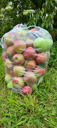 Winery «Echo Hill Orchards & Winery», reviews and photos, 101 Wilbraham Rd, Monson, MA 01057, USA