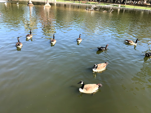 Park «Riverside Park», reviews and photos, 753 Park St, Jacksonville, FL 32204, USA