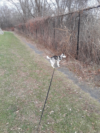 Park «McGrath Park», reviews and photos, 46 Marlborough Rd, Salem, MA 01970, USA