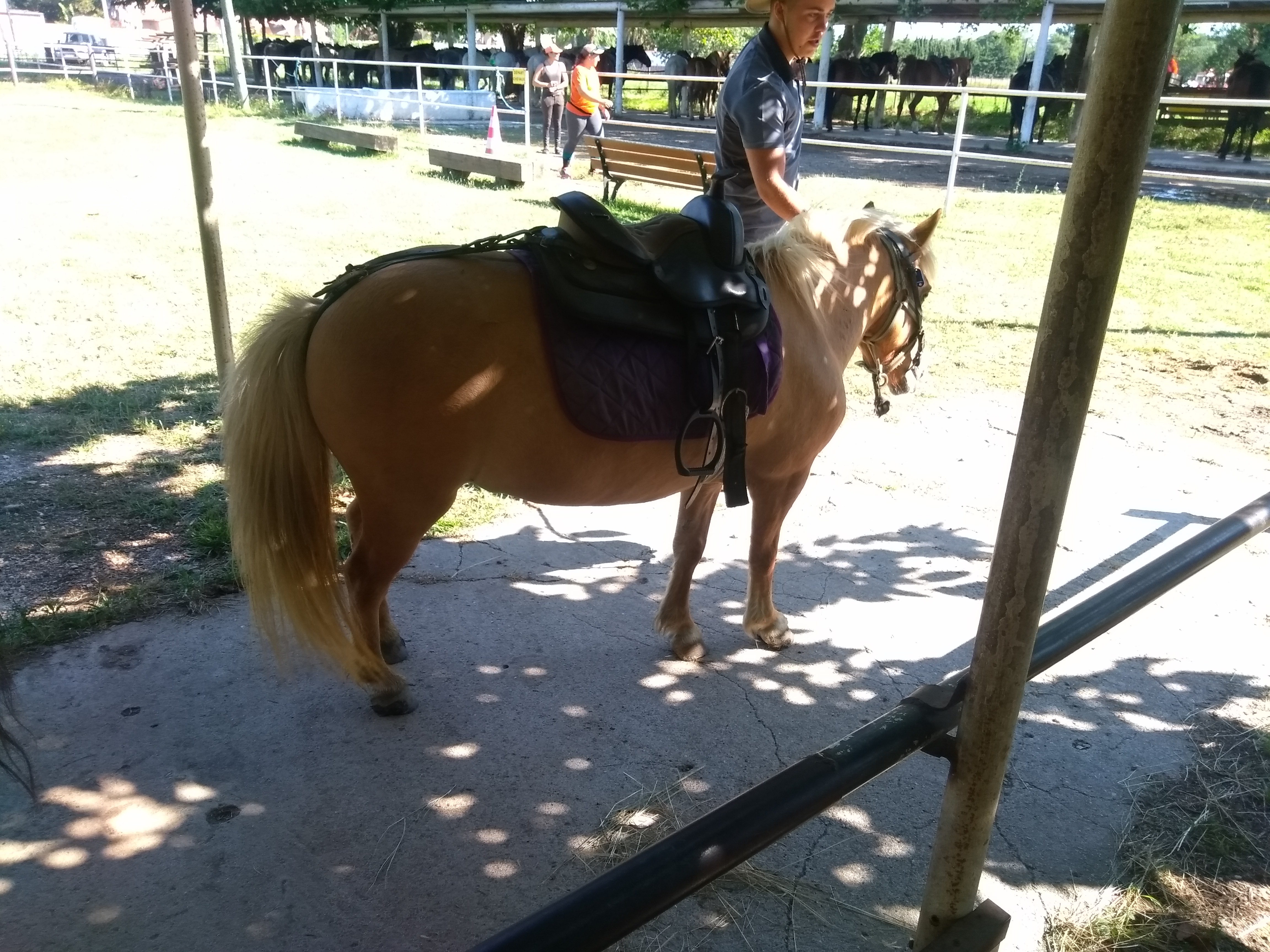 Photo n° 6 de l'avis de Johannes.o fait le 13/07/2019 à 20:25