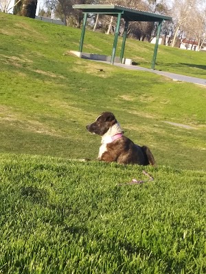 Smyrna Community Park - photo 14