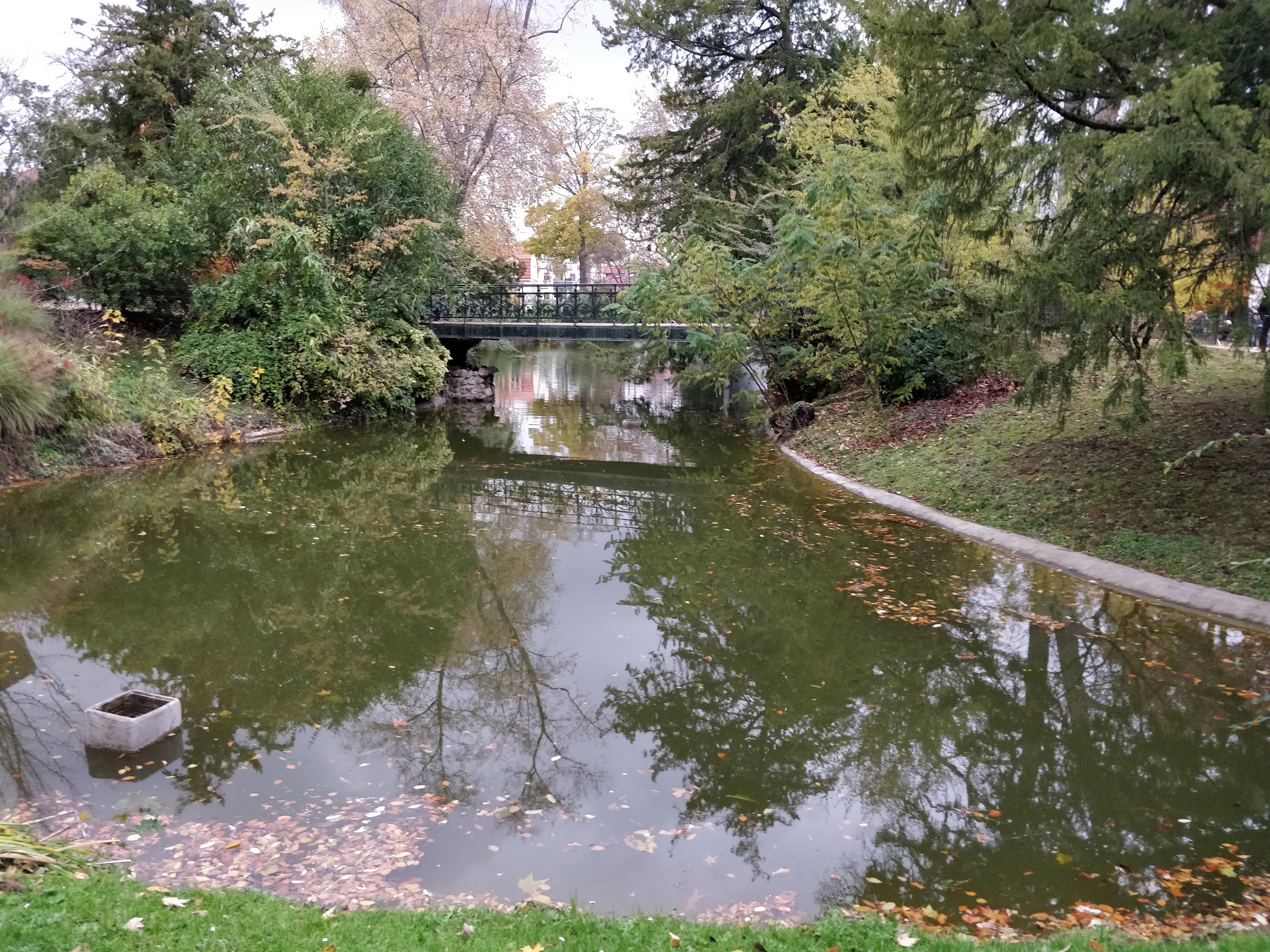 Photo n° 3 de l'avis de GILLET.i fait le 18/11/2019 à 08:16