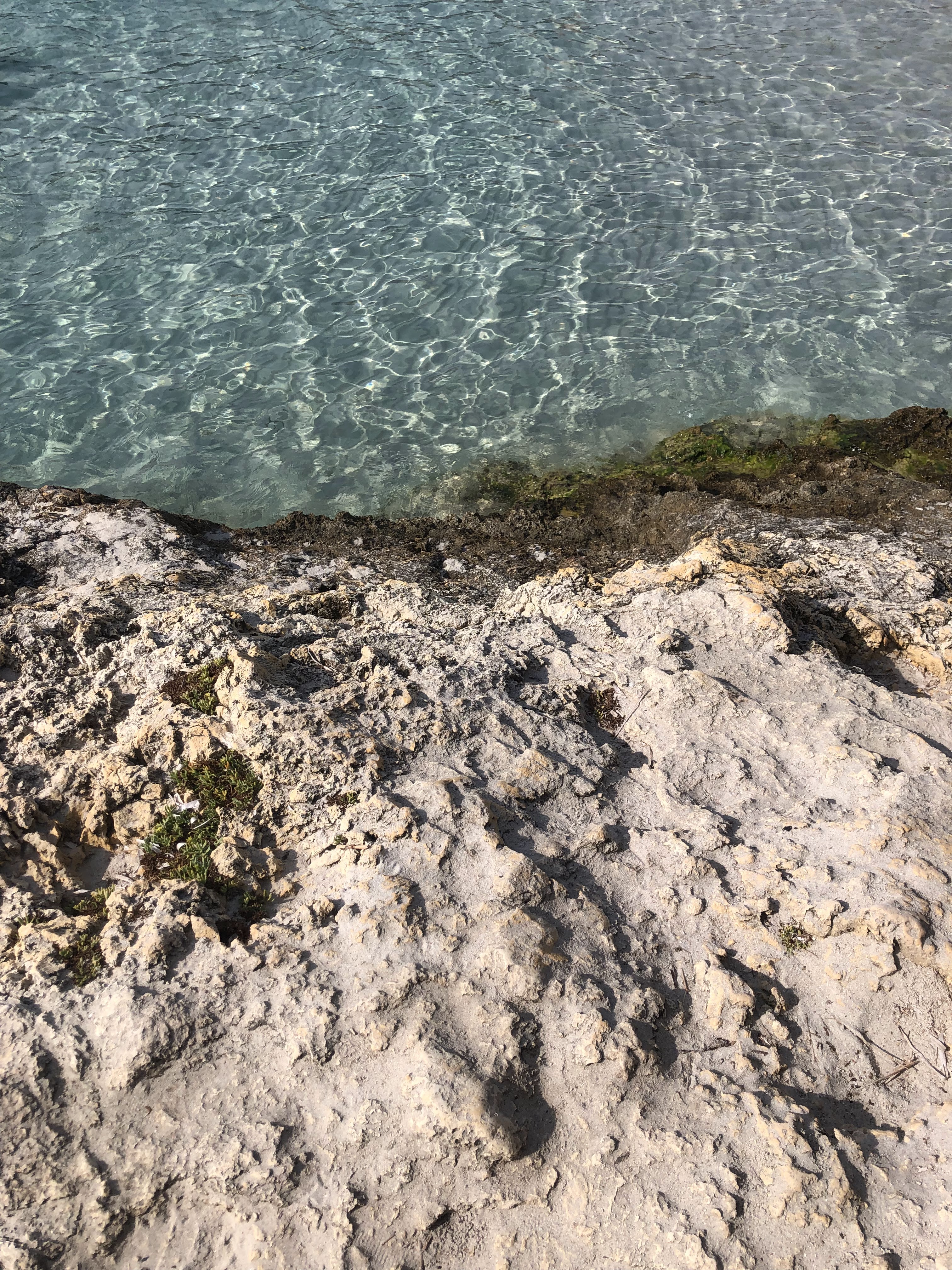 Photo n° 16 de l'avis de Carlo.a fait le 27/08/2023 à 17:51