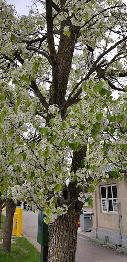 Restaurant «Hard Rock Cafe», reviews and photos, 333 Prospect St, Niagara Falls, NY 14303, USA