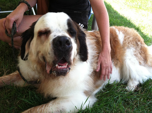 HVAC Contractor «C AND K Heating, AC, Geothermal & Plumbing», reviews and photos, 2312 Edison St, Ames, IA 50010, USA