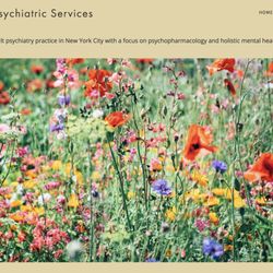Manhattan Psychiatric Services