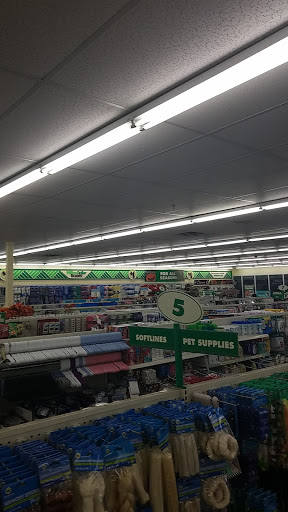 Dollar Store «Dollar Tree», reviews and photos, 1430 Volunteer Pkwy #1, Bristol, TN 37620, USA