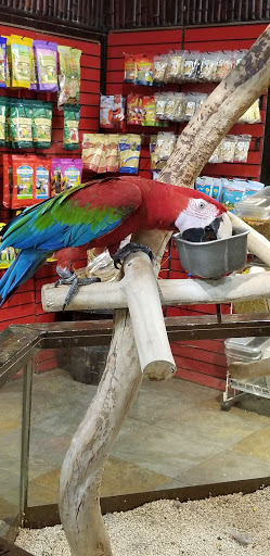 Pet Store «Pet Kingdom», reviews and photos, 4650 S Cleveland Ave, Fort Myers, FL 33907, USA