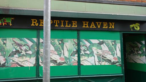 Reptile Haven