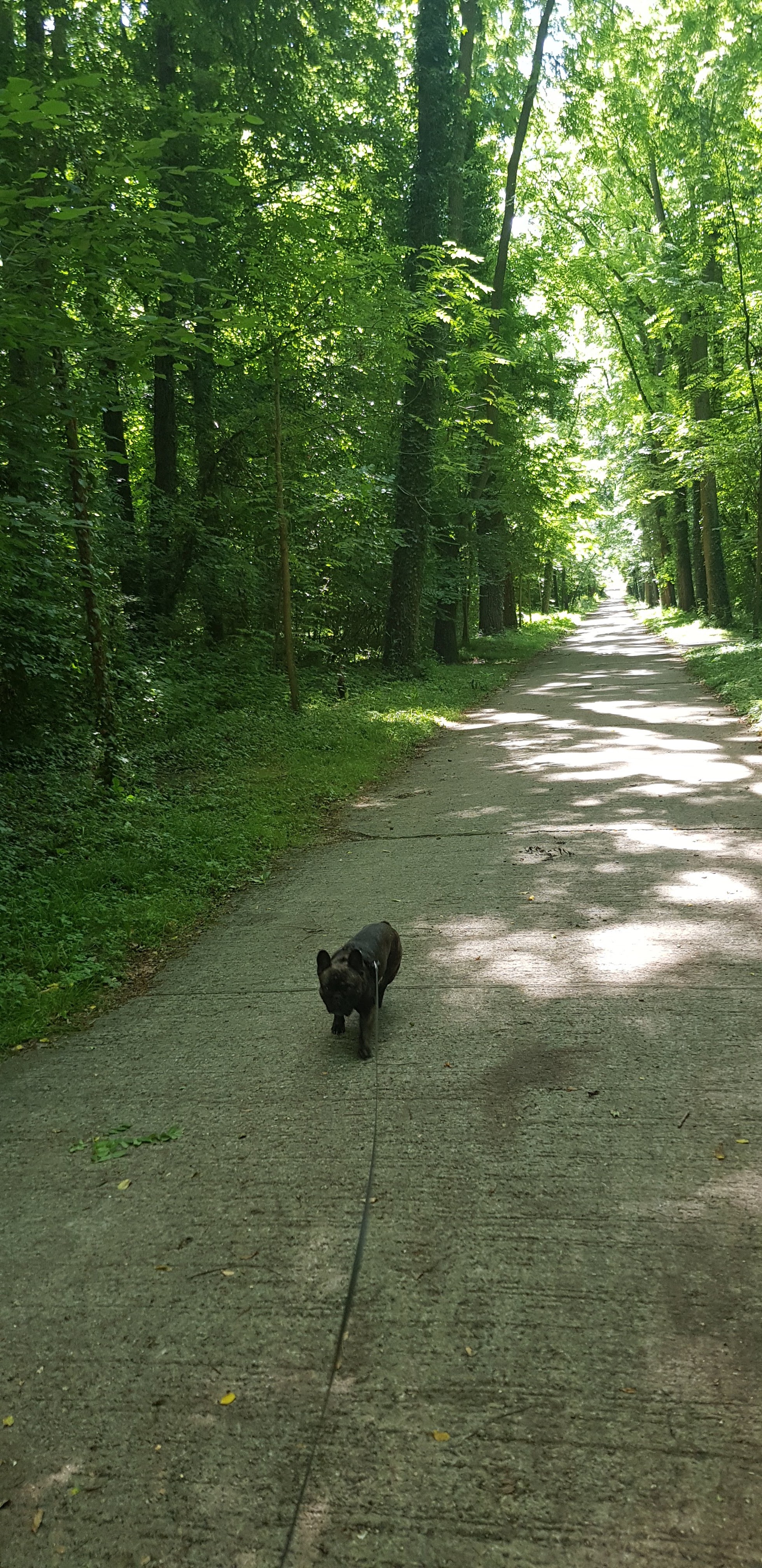 Photo n° 2 de l'avis de Olivier.h fait le 25/07/2019 à 21:21