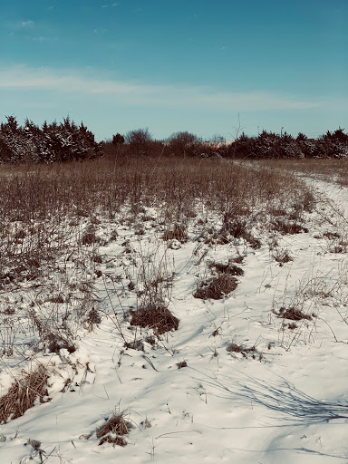 Wildlife Park «Wildlife & Parks Department», reviews and photos, 6232 East 29th St N, Wichita, KS 67220, USA