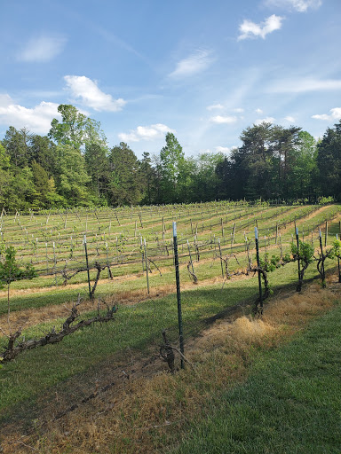 Winery «Weathervane Winery», reviews and photos, 1452 Welcome-Arcadia Rd, Lexington, NC 27295, USA