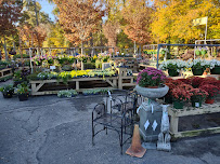 South Pleasantburg Nursery - Photo 6 - Car repair in Greenville, SC, Greenville