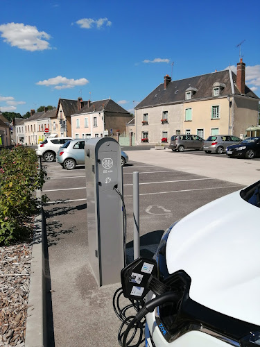 Borne de recharge de véhicules électriques Te61 Charging Station Saint-Germain-de-la-Coudre