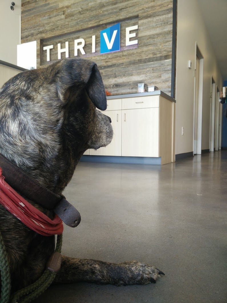 Thrive Pet Healthcare