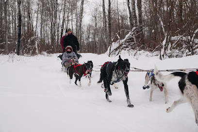 Campbell's Racing Sled Dogs