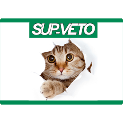 Sup Veto Orléans à Orléans
